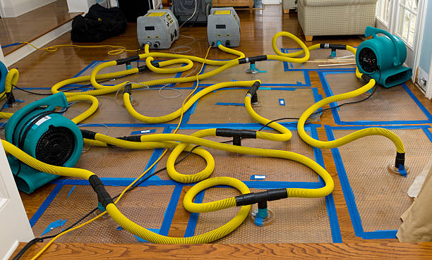 Professional Basement Flood Cleanup technician working in Aurora, MN